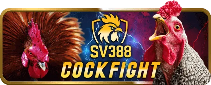 Đá gà tre và đá gà nòi